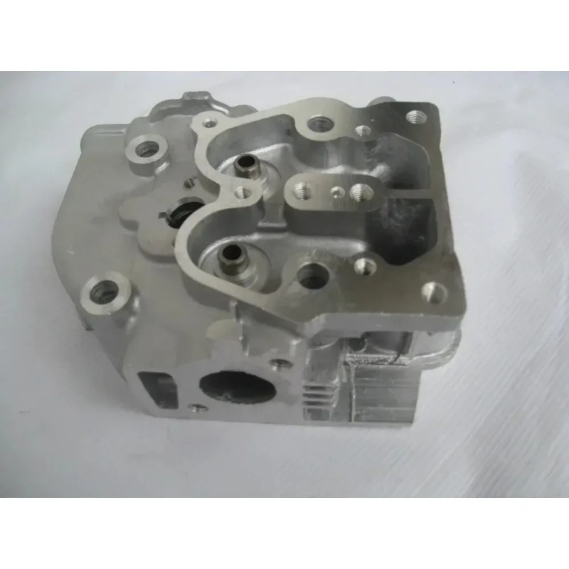 Cilinderkop met inlaatklep ges - Engine Cylinder Head recensie en prijs
