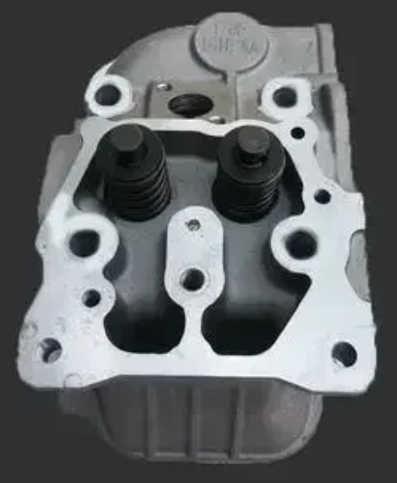 Cilinderkop met inlaatklep ges - Engine Cylinder Head recensie en prijs